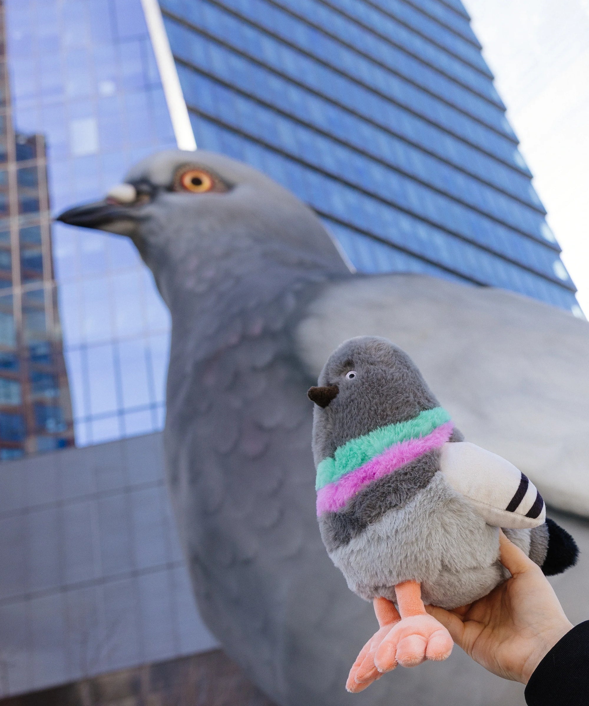 Pigeon Plushie