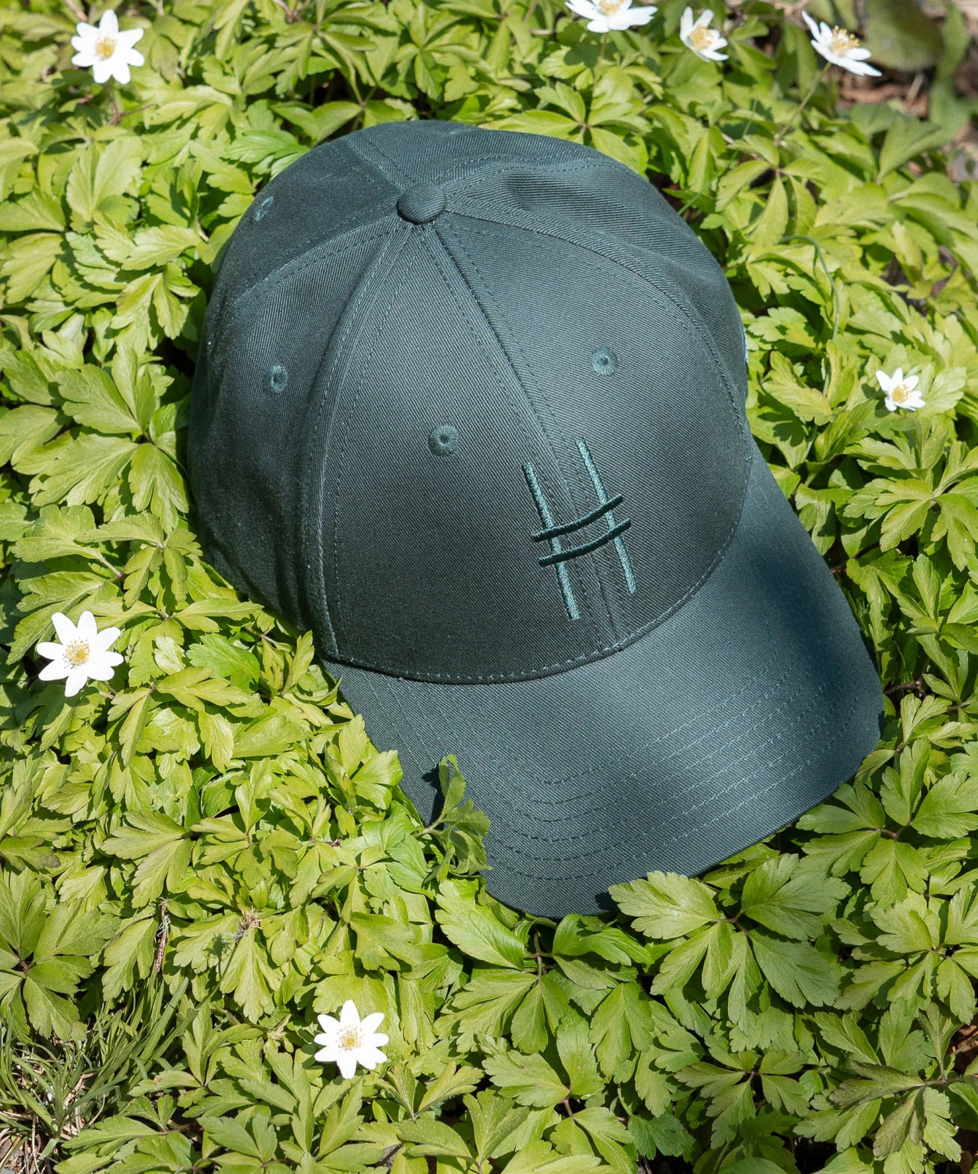 High Line Icon Cap