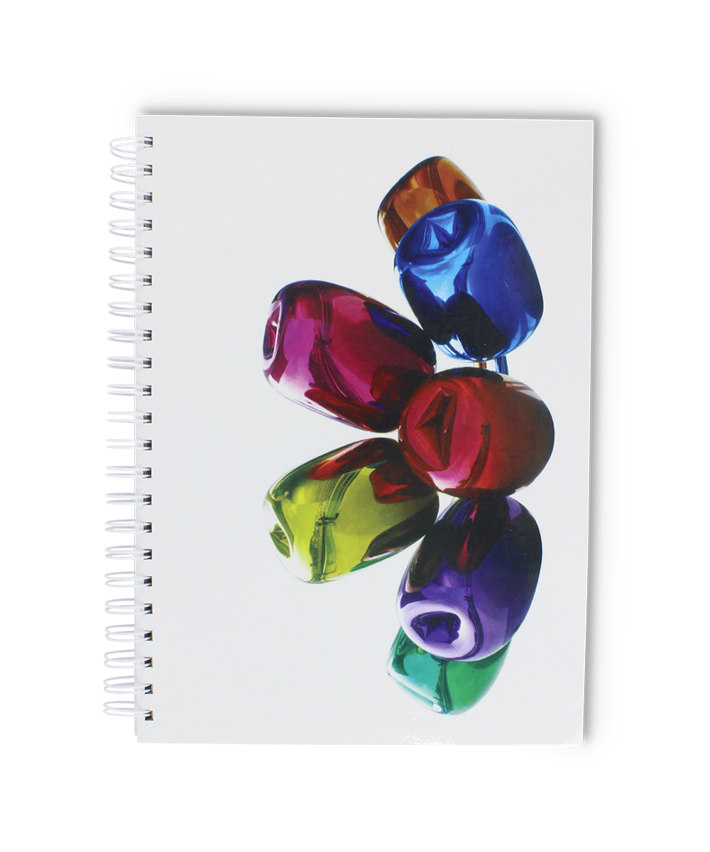 Spiral Notebook x Jeff Koons