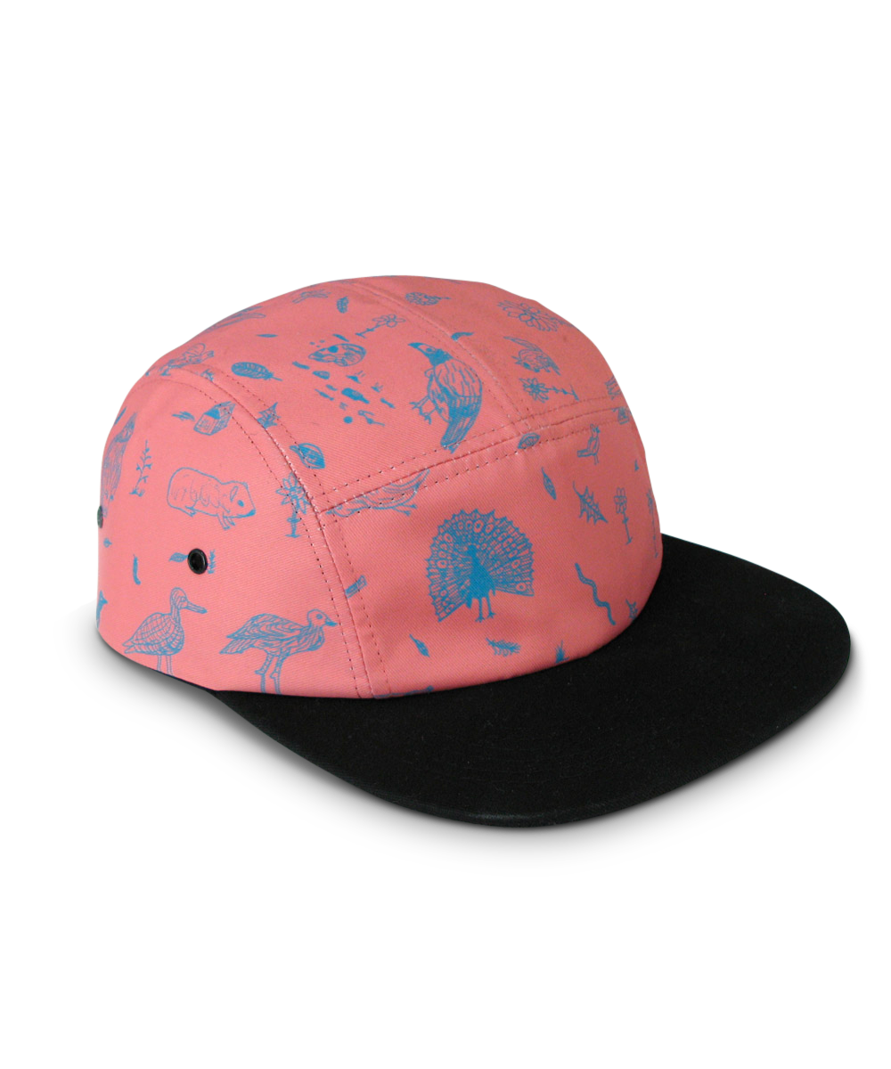 Cap X David Shrigley